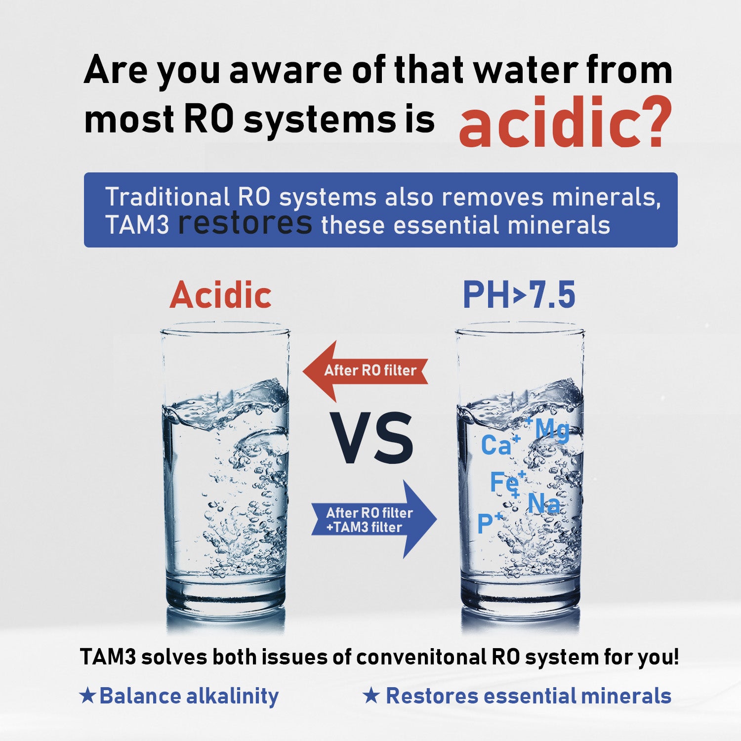 Frizzlife Reverse Osmosis Alkaline Remineralization Post Filter, TAM3