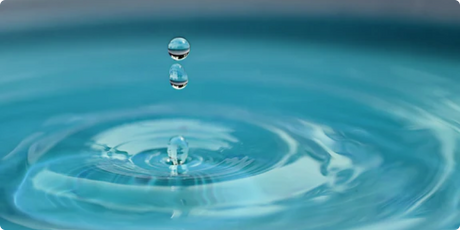spring water vs purified water