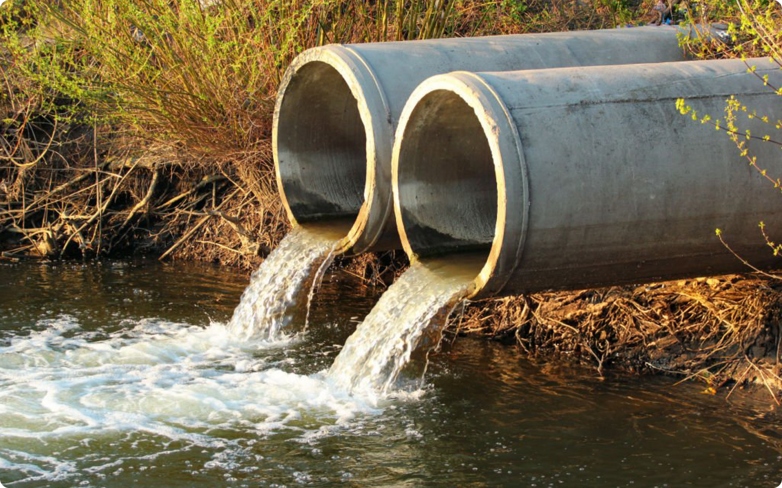 Why humans can't drink dirty and contaminated water