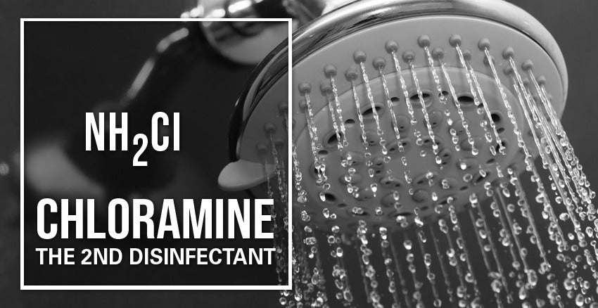 Chlorammine The Hidden Danger of Chloramine – Frizzlife