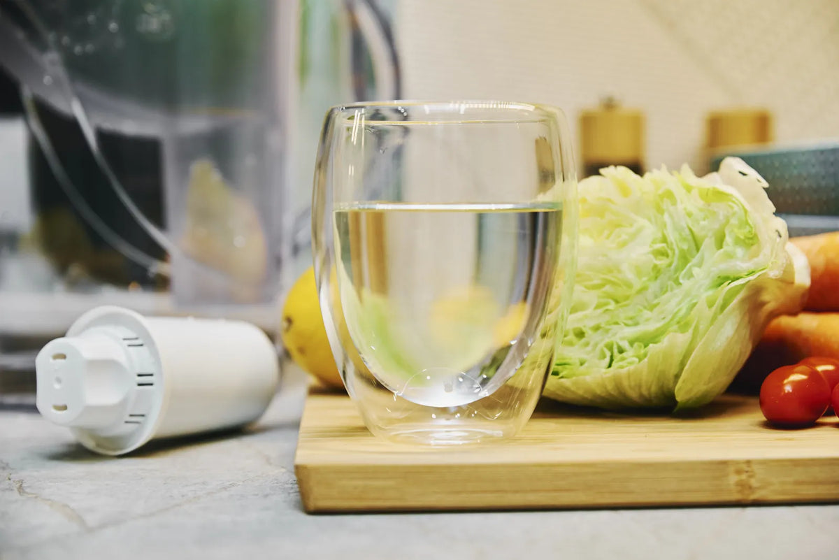 Does Reverse Osmosis Remove Healthy Minerals? RO Water Facts – Frizzlife