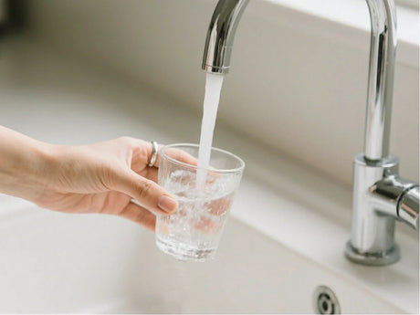 water descaler vs water softener