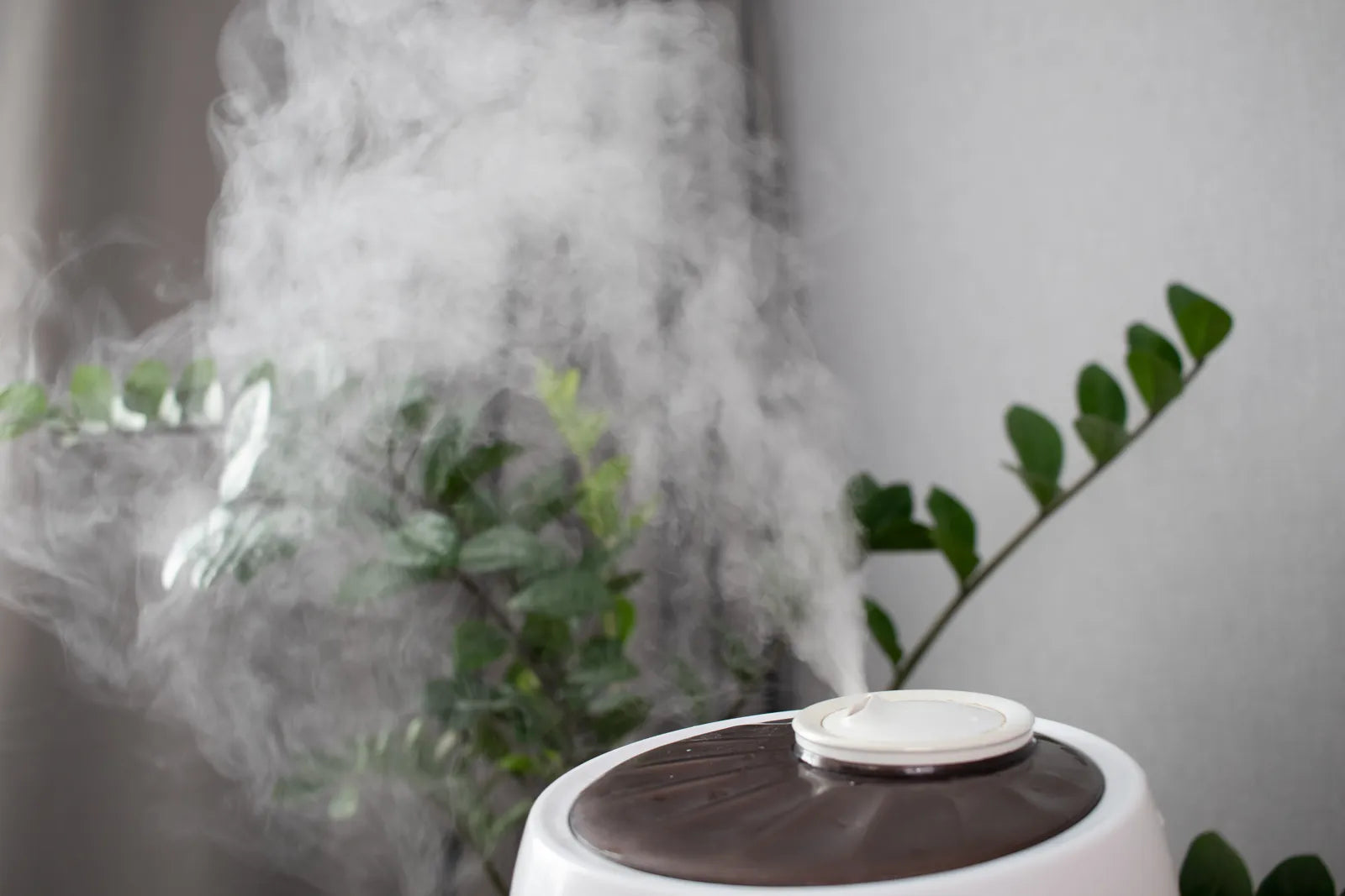 Humidifier emitting steam, highlighting the importance of using RO water to avoid white dust.