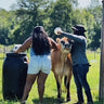 Bastarrica Farms