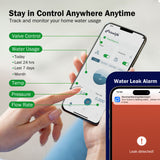 Monitor de agua inteligente Frizzlife LP365/LP365-P y sensor de apagado automático, LP365/LP365-P 